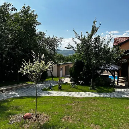 Vila Sarajevo - 2 2 Pools - Full Privacy - Up To 25 Guests