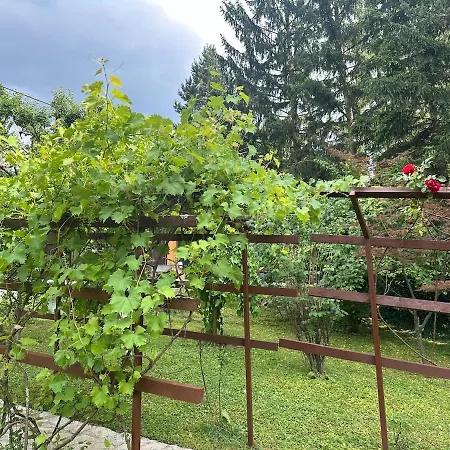 Sarajevo - 2 2 Pools - Full Privacy - Up To 25 Guests Vila *